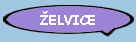 �ELVICE